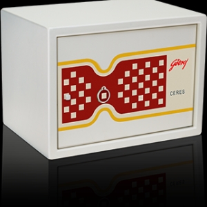 HOME SAFES